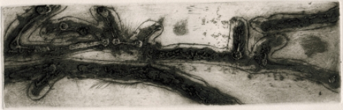 Gustaaf Prils  met een grafisch werkje