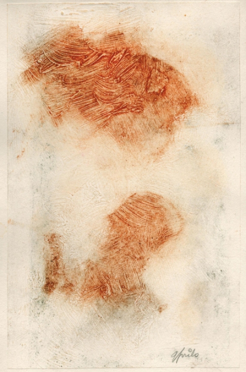 Litho kopen van Gustaaf Prils