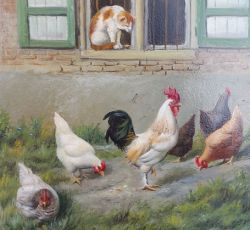 Speels toekijkende poes