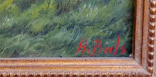 Speels toekijkende poes