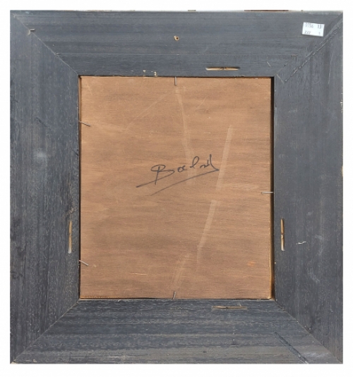 Speels toekijkende poes