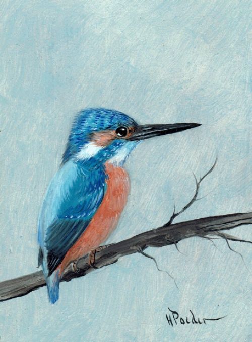 Ijsvogel van de Nederlandse kunstschilder Henk Poeder