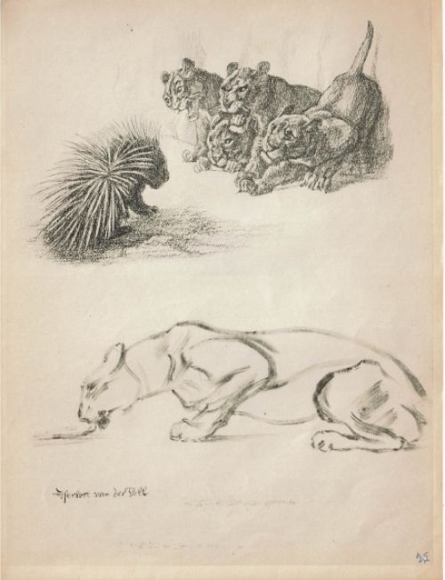 Dierenstudie gemonogrameerd