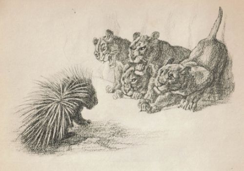 Dierenstudie gemonogrameerd