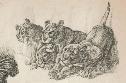 Dierenstudie gemonogrameerd