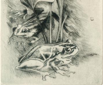 Ex Libris Hildegard Bungs