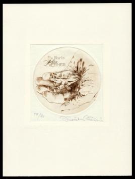 Droge naald ets van Hermina Horváth kopen