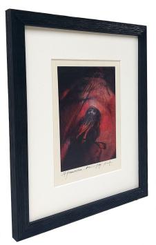 St. Franciskus Assisi 1979