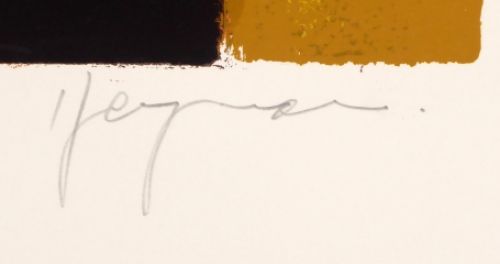 buy online litho, original litho from Dr.  Hugo Heyrman