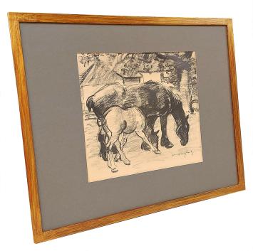 Merrie met haar veulen