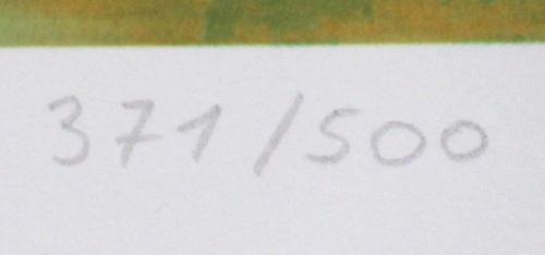 Litho van Hans Vandekerckhove kopen