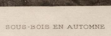 Heliogravure Sous-Bois en automne Exsteens 1123