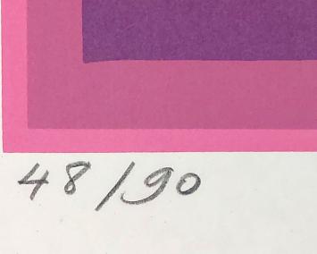 Originele Lithografie uit 1976