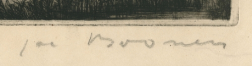 Oogst (zonder kader)