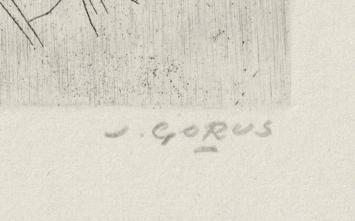 Amazones, I op weg naar 1975 60/65