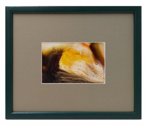 Schilderijtje van Jeanne Portenart kopen