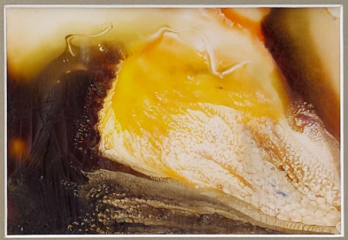 Kunstwerkje van Belgische kunstenares Jeanne Portenart