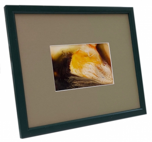 Origineel schilderij van Jeanne Portenart, Belgische schilderes