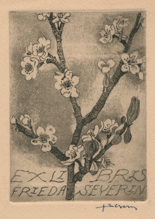 Ets van Juliaan Severin kopen