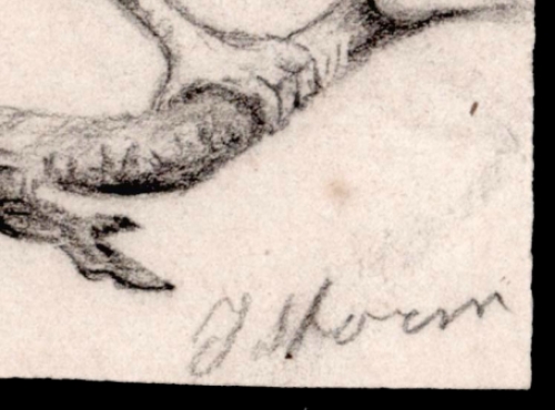 19de eeuwse tekening van Jacobus Storm kopen