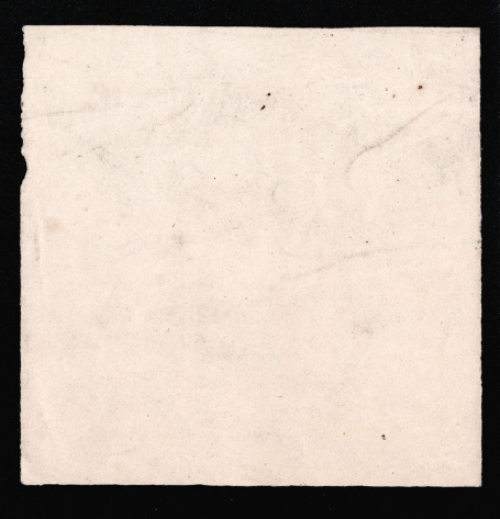 Pronkende duif (+/- 1883)