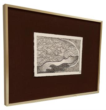 Une nébuleuse 1978
