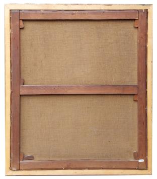 Uitzicht Sint-Gummarustoren te Lier