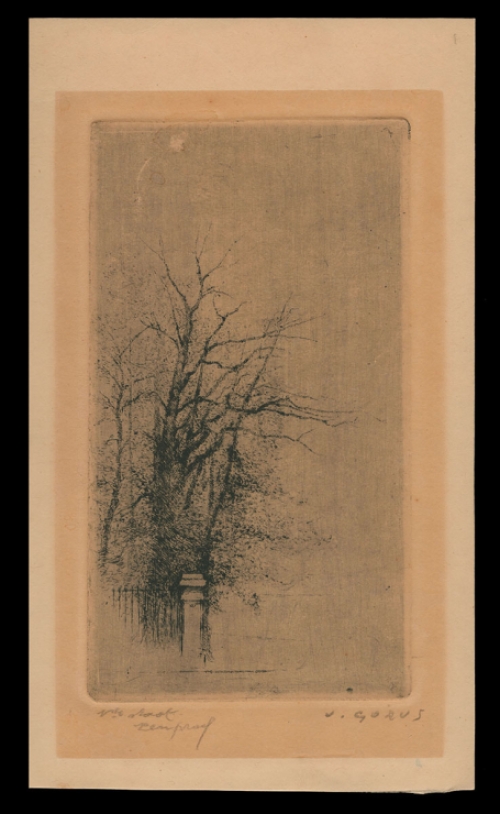 Ets van de Belgische kunstenaar Jaak Gorus kopen