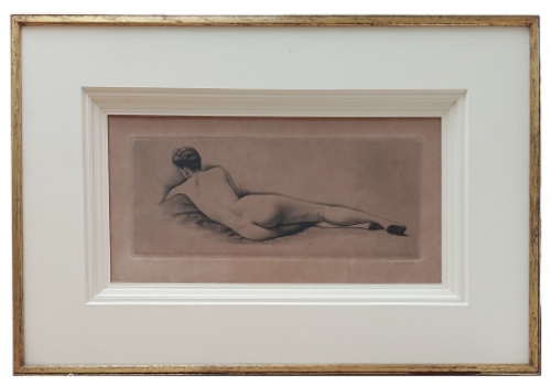 Ets van de Belgische ester aak Gorus kopen