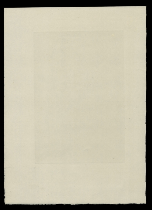 Novel K. van de Woestijne