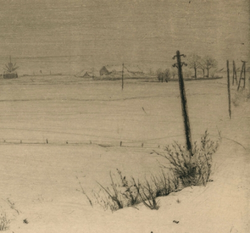 Polder te Oosterweel 3/3