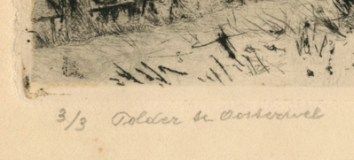 Polder te Oosterweel 3/3