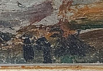 Hoge bomen in de wind