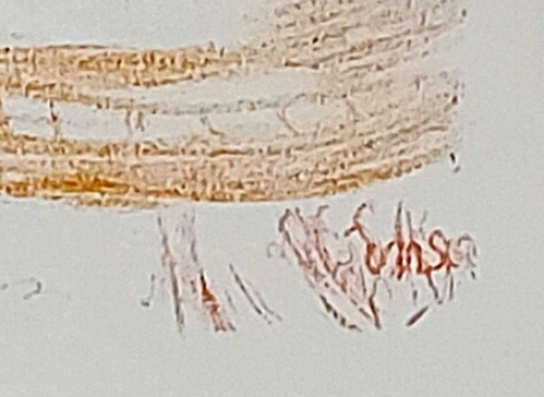 Les coquilles van J. Ensor