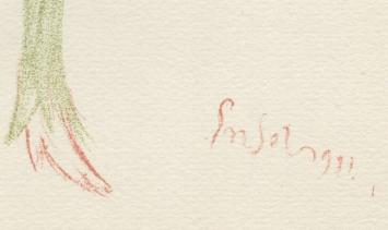 Kunst van de Oostendse kunstenaar James Ensor