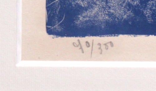 Hedendaagse kunst van Jan Cobbaert