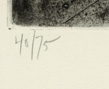 De hand 1973  40/75