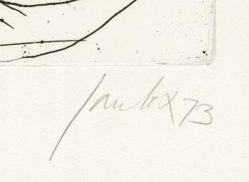 De angst 1973  40/75