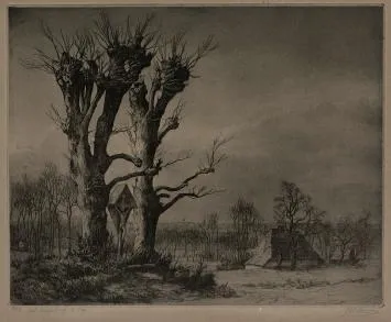 Grote ets van de Belgische etser Jan de Cooman kopen