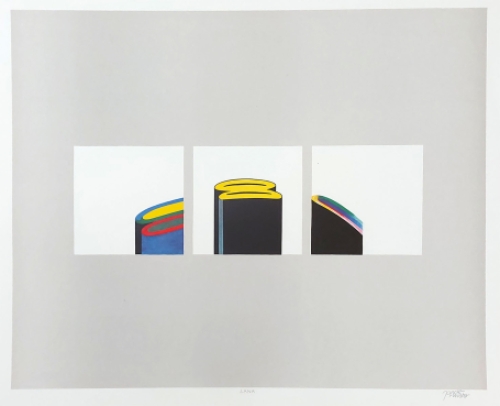 De Mechelse kunstenaar Jan de winter met een liho