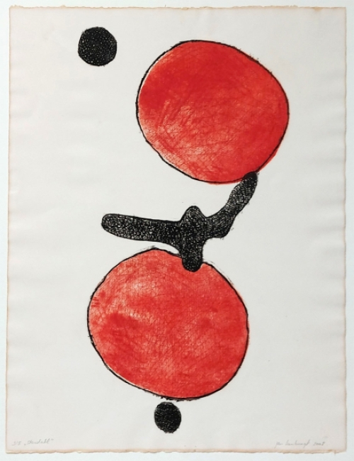 Litho uit 2008 van Jan Leenknegt kopen