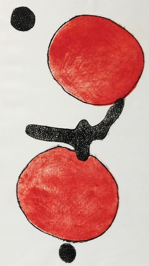 Jan Leenknegt, Belgische graficus