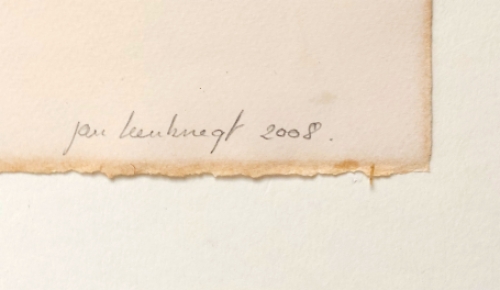 Kunstwerk van de  Belgische kunstenaar Jan Leenknegt