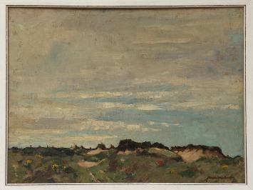 Duinen Belgische kust van Jan Van Looy