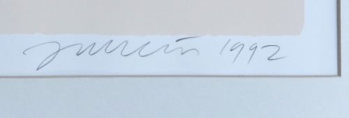 Prentenvlakken 1992 EA