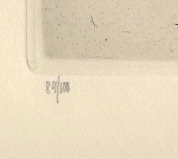 Belgische etser en tekenaar Jules De Bruycker