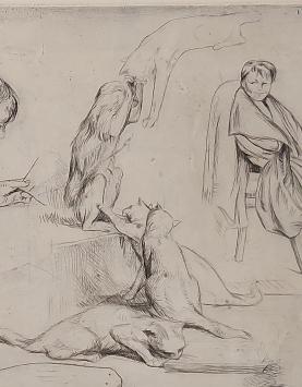 31. Nu chats & singe croquis 5/25