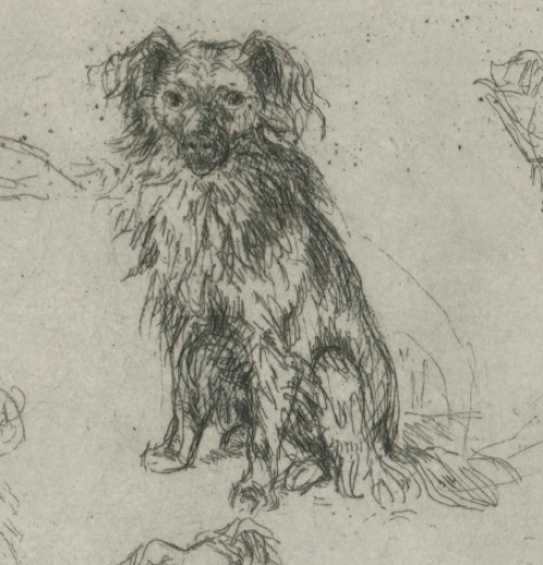 Ets van een schetsblad van J. Donnay kopen