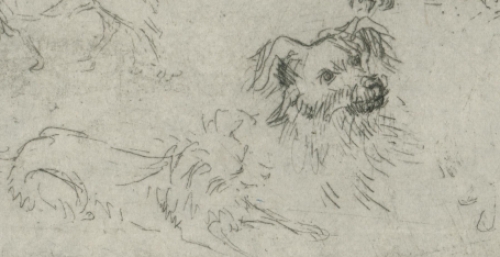 Etsen van Waalse kunstenaars kopen