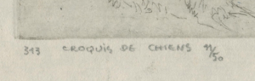 Croquis de chiens 11/50